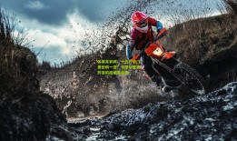 体育足彩网：十五万张门票抢购一空！卡塔尔亚洲杯首阶段销售告捷