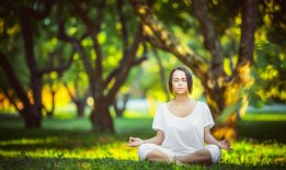 【足彩网】蔚山HD闪电换帅！申台龙执教仅65天黯然下课，创队史最短执教纪录