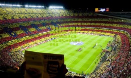 【体育足彩网】德国足坛新轰炸机诞生，6500万身价锋霸23场11球，拜仁错失2米巨人沃尔特马德